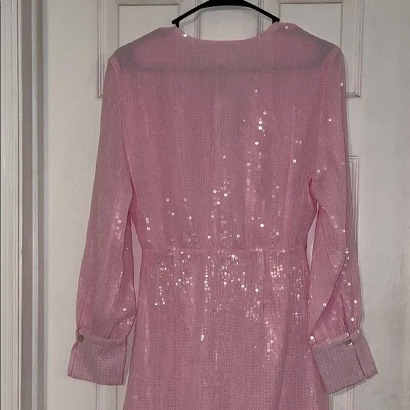 Steve Madden Light Pink Sequin Dress - Picture 7 of 7